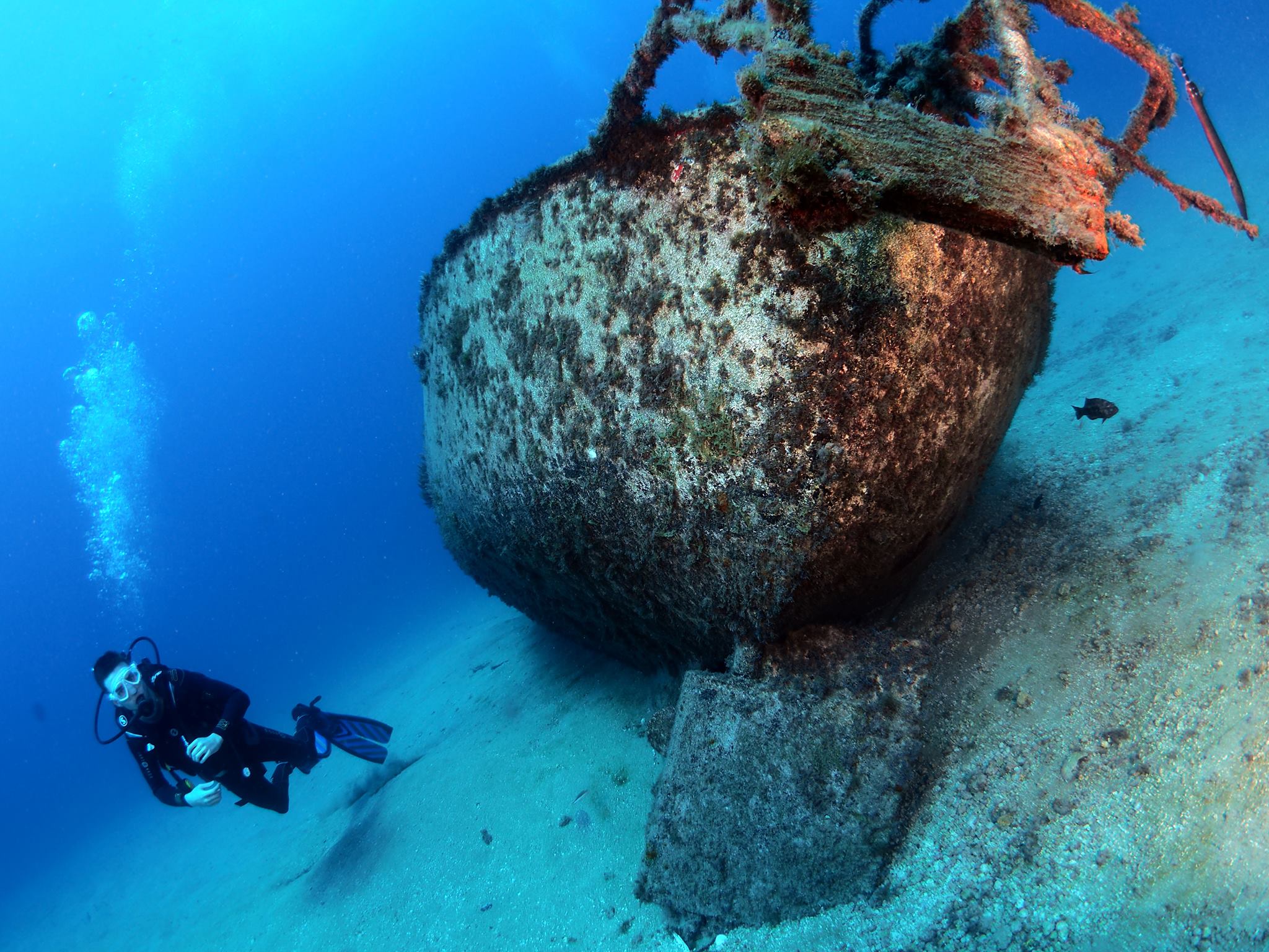 diving in Tenerife TENERIFE DIVE CENTRE DIVING IN TENERIFE CANARY ISLANDS