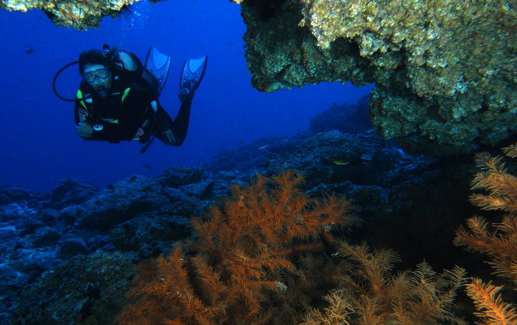 Philippe-diver-w-black-coral-1030x647 diving in tenerife