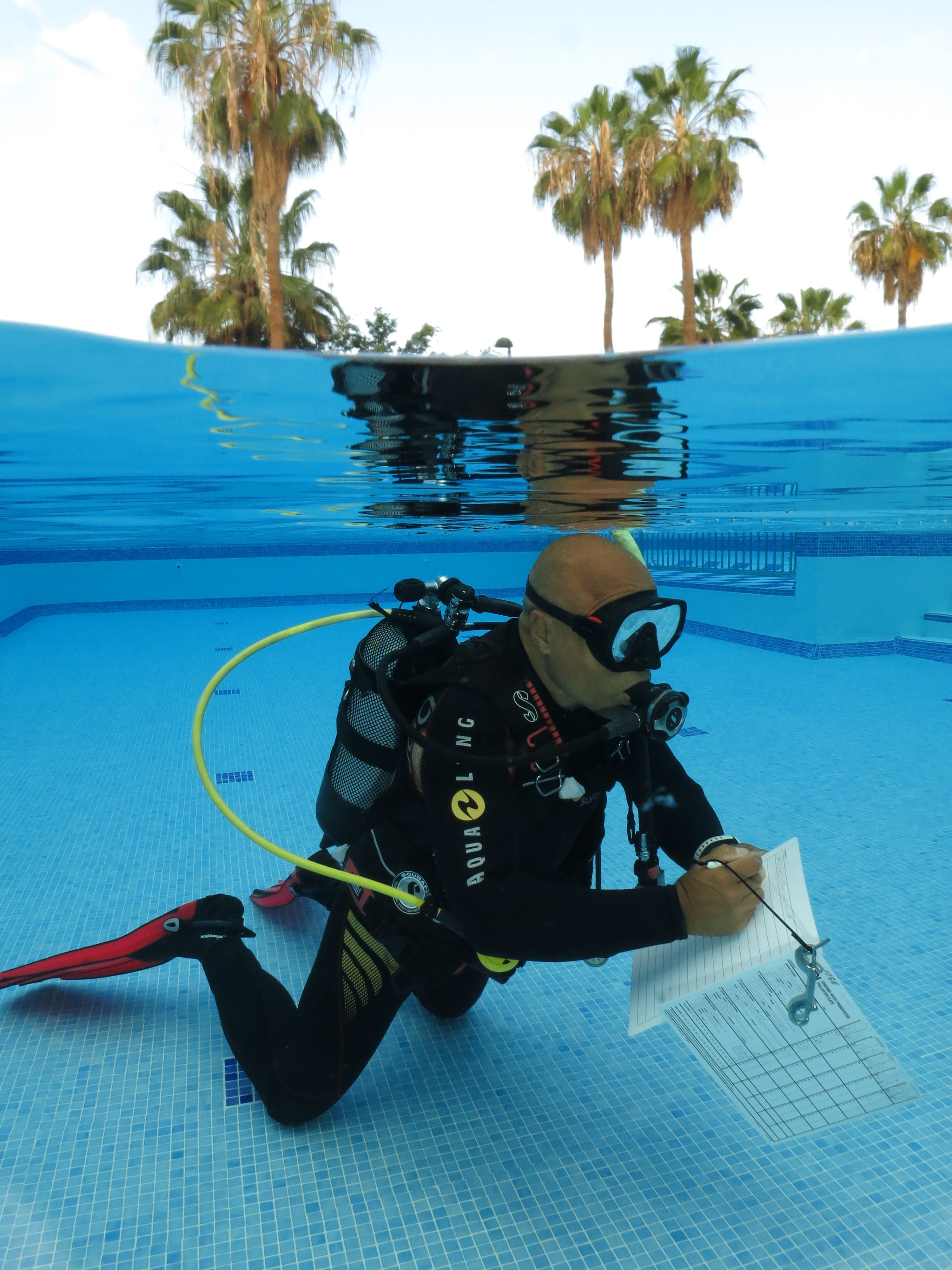 Jose Staff Instructor Staff Instructor PADI Tenerife