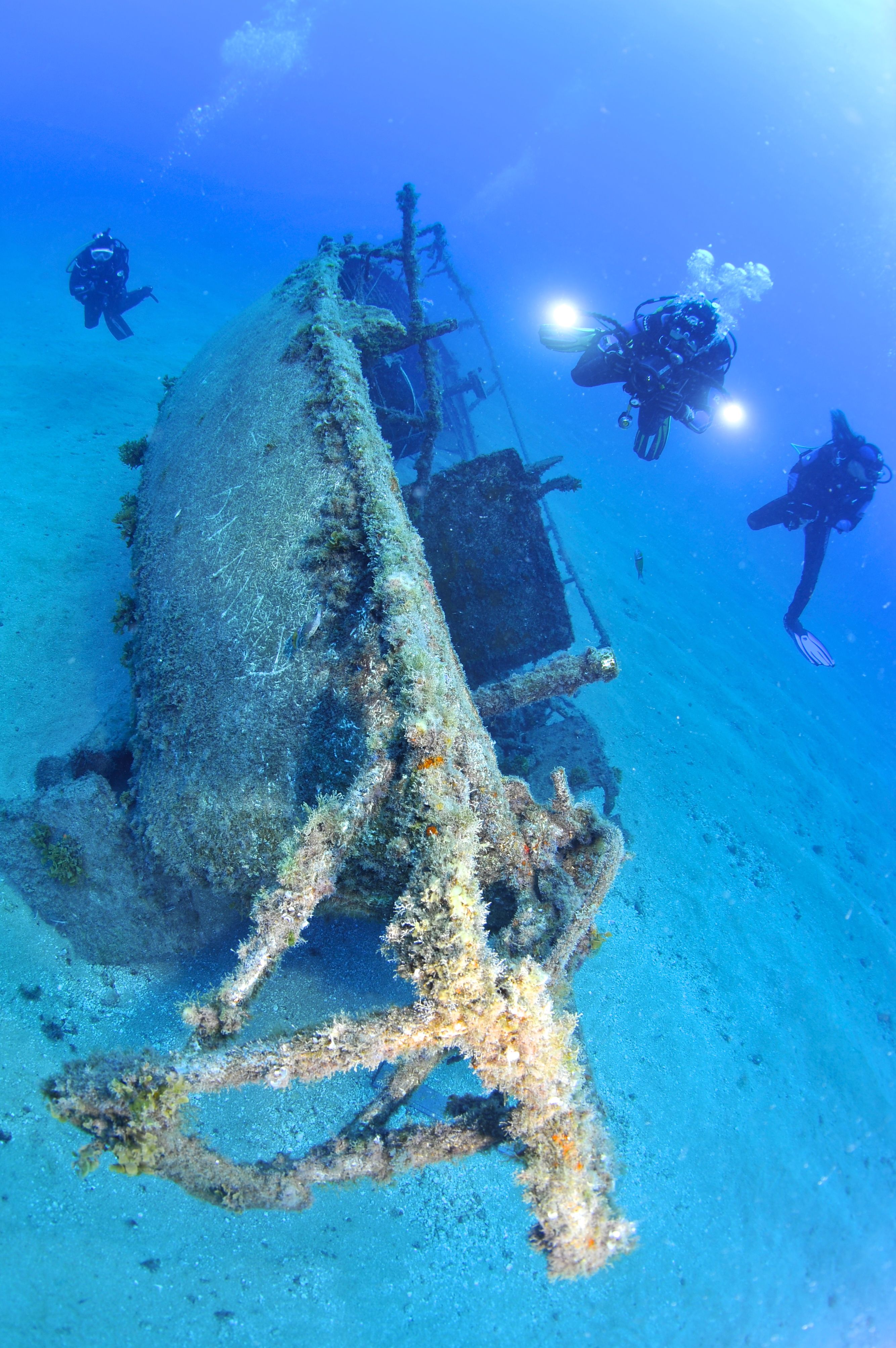 divers in Tenerife Diving in Tenerife