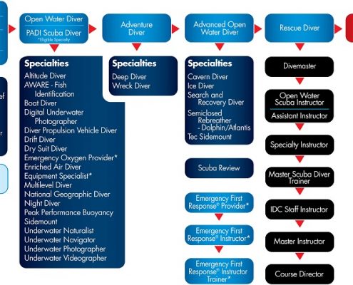 padi dive course tenerife