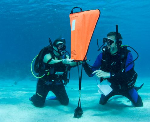 search and recovery diver instructor specialty instructor tenerife search and recovery