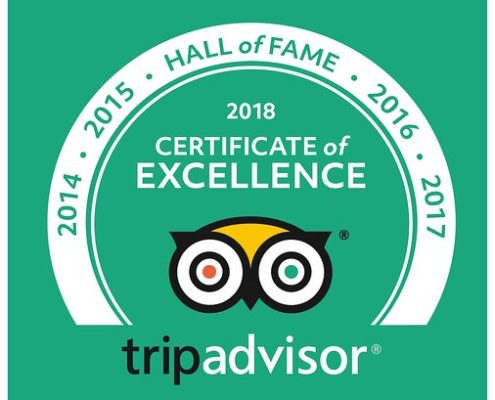 hall of fame tripadvisor diving tenerife aqua-marina