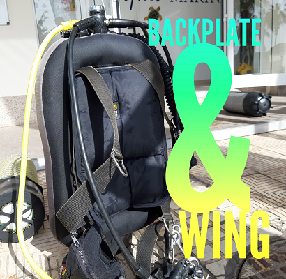 backplate and wing