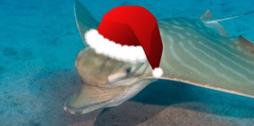 santa ray merry christmas